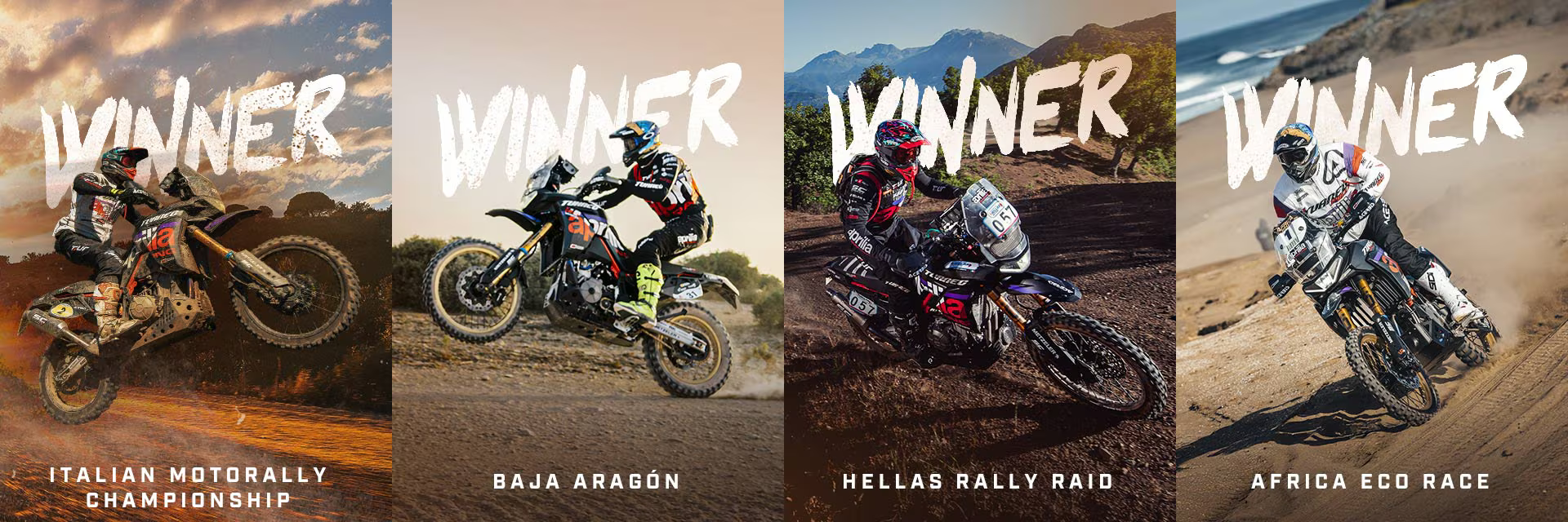 Aprilia Tuono Rally 660